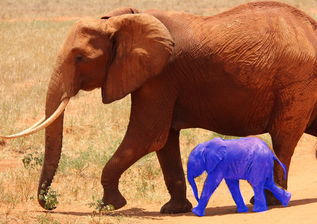 elephant-cub-tsavo-kenya-66898-large